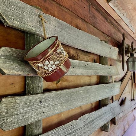 Household Babovic - Old House Miljan'S Valley Andrijevica エクステリア 写真