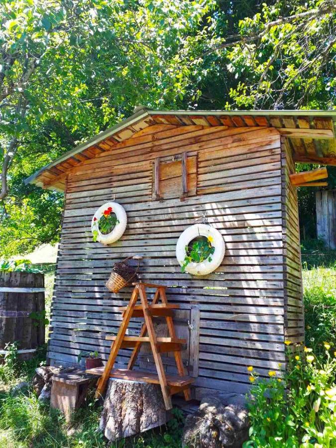Household Babovic - Old House Miljan'S Valley Andrijevica エクステリア 写真