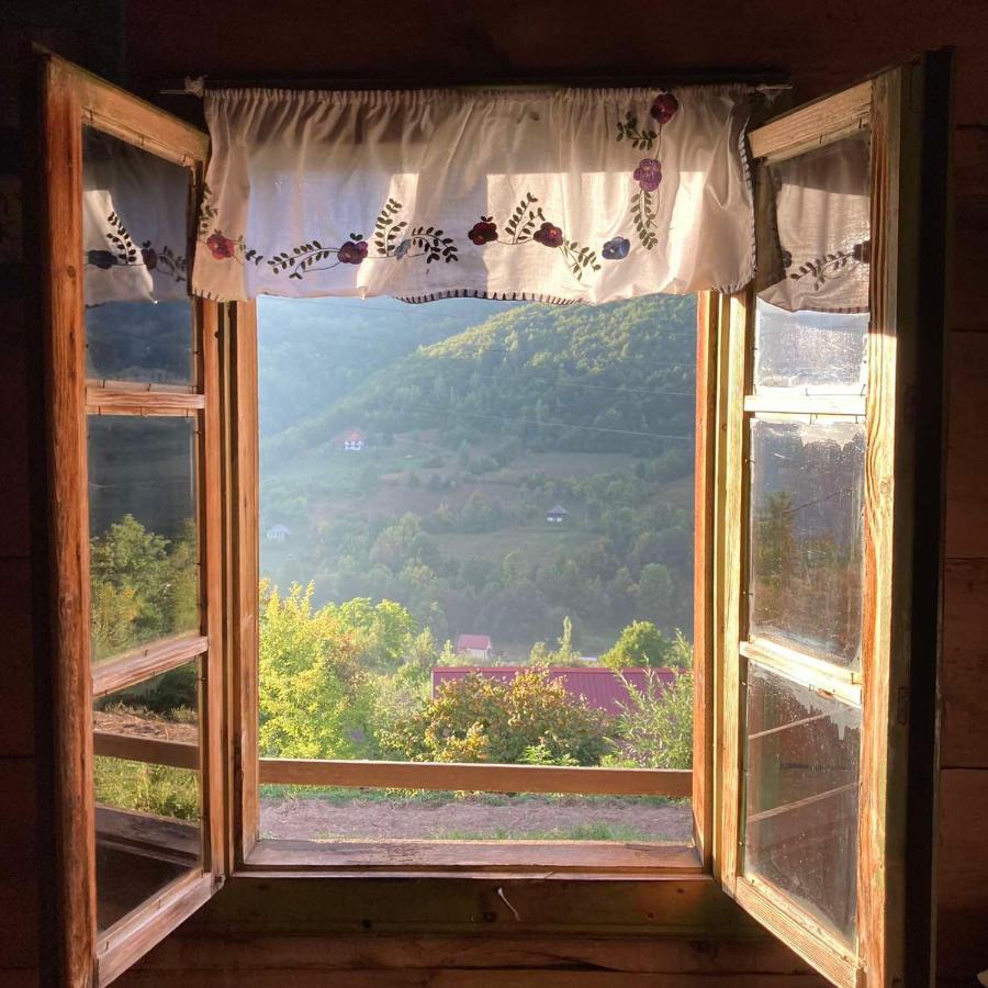 Household Babovic - Old House Miljan'S Valley Andrijevica エクステリア 写真