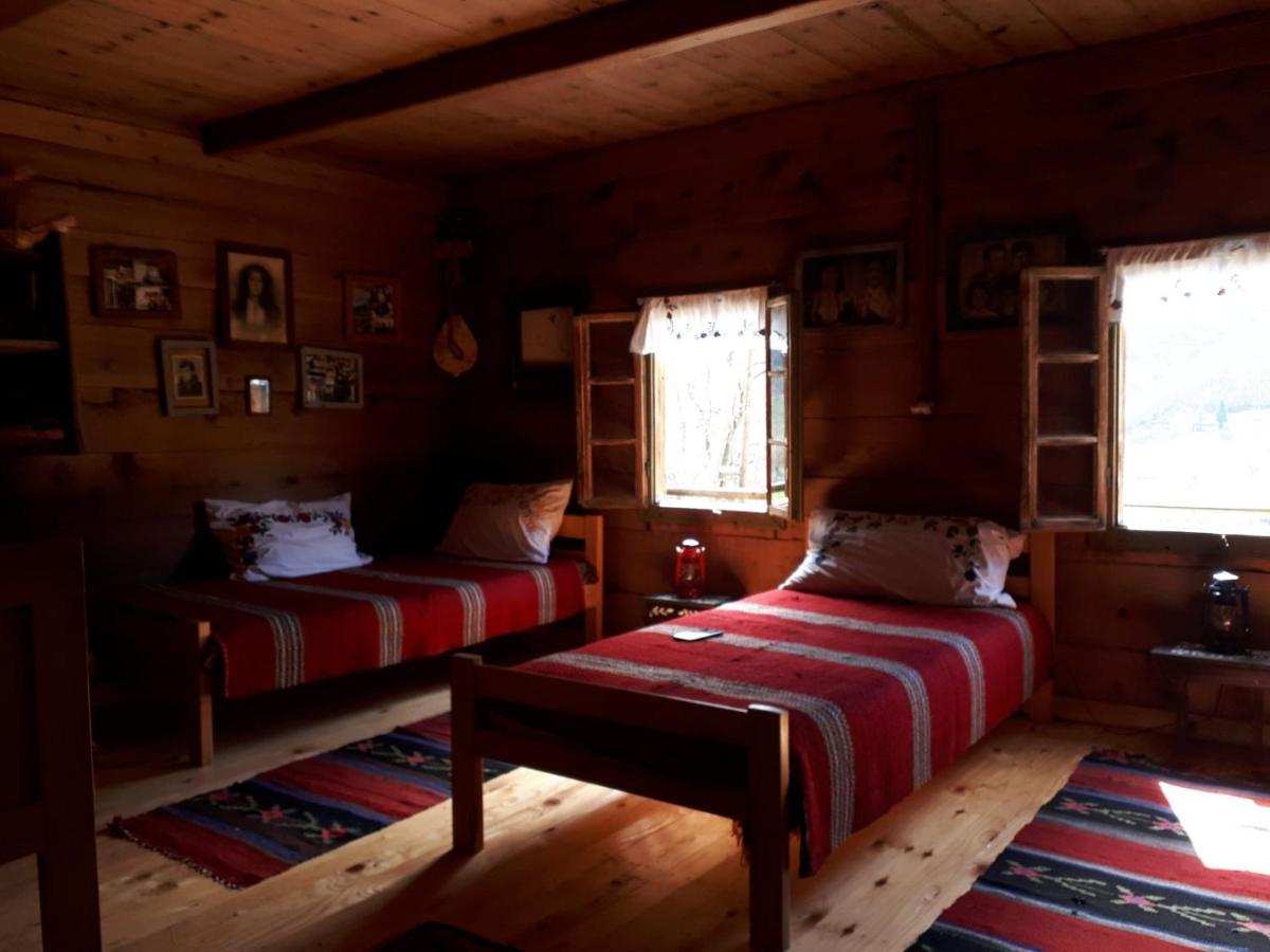 Household Babovic - Old House Miljan'S Valley Andrijevica エクステリア 写真