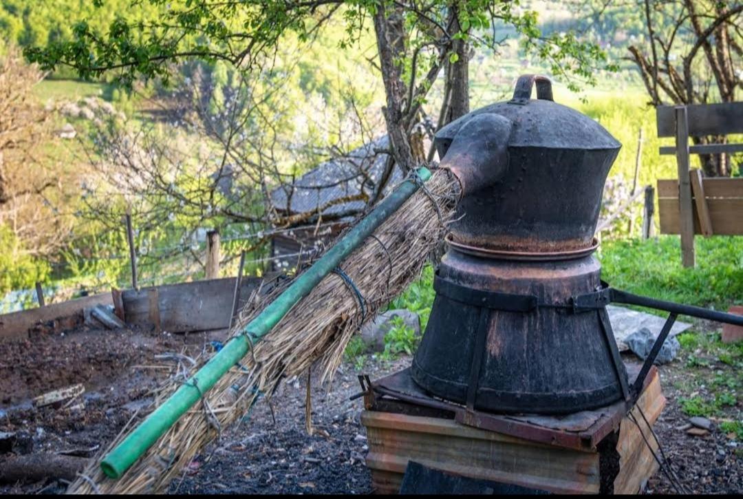 Household Babovic - Old House Miljan'S Valley Andrijevica エクステリア 写真