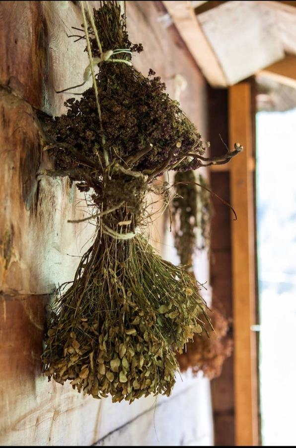 Household Babovic - Old House Miljan'S Valley Andrijevica エクステリア 写真