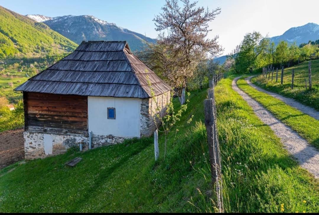 Household Babovic - Old House Miljan'S Valley Andrijevica エクステリア 写真