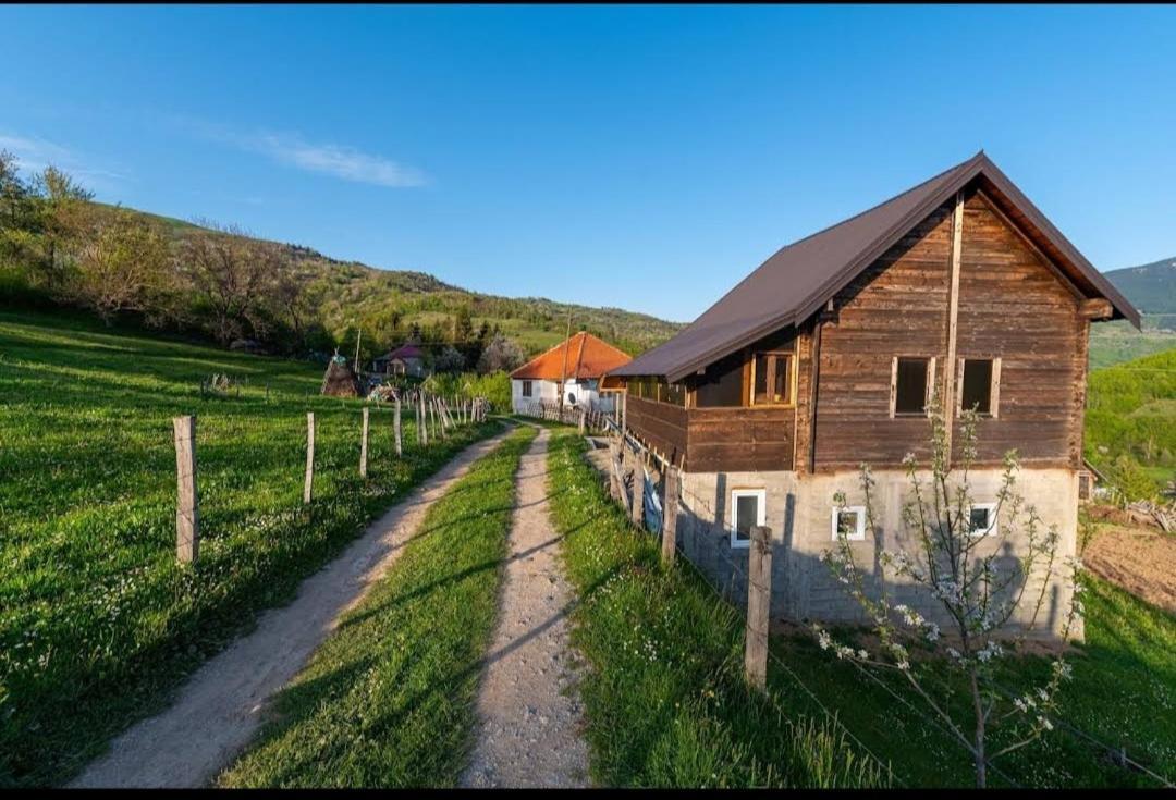 Household Babovic - Old House Miljan'S Valley Andrijevica エクステリア 写真