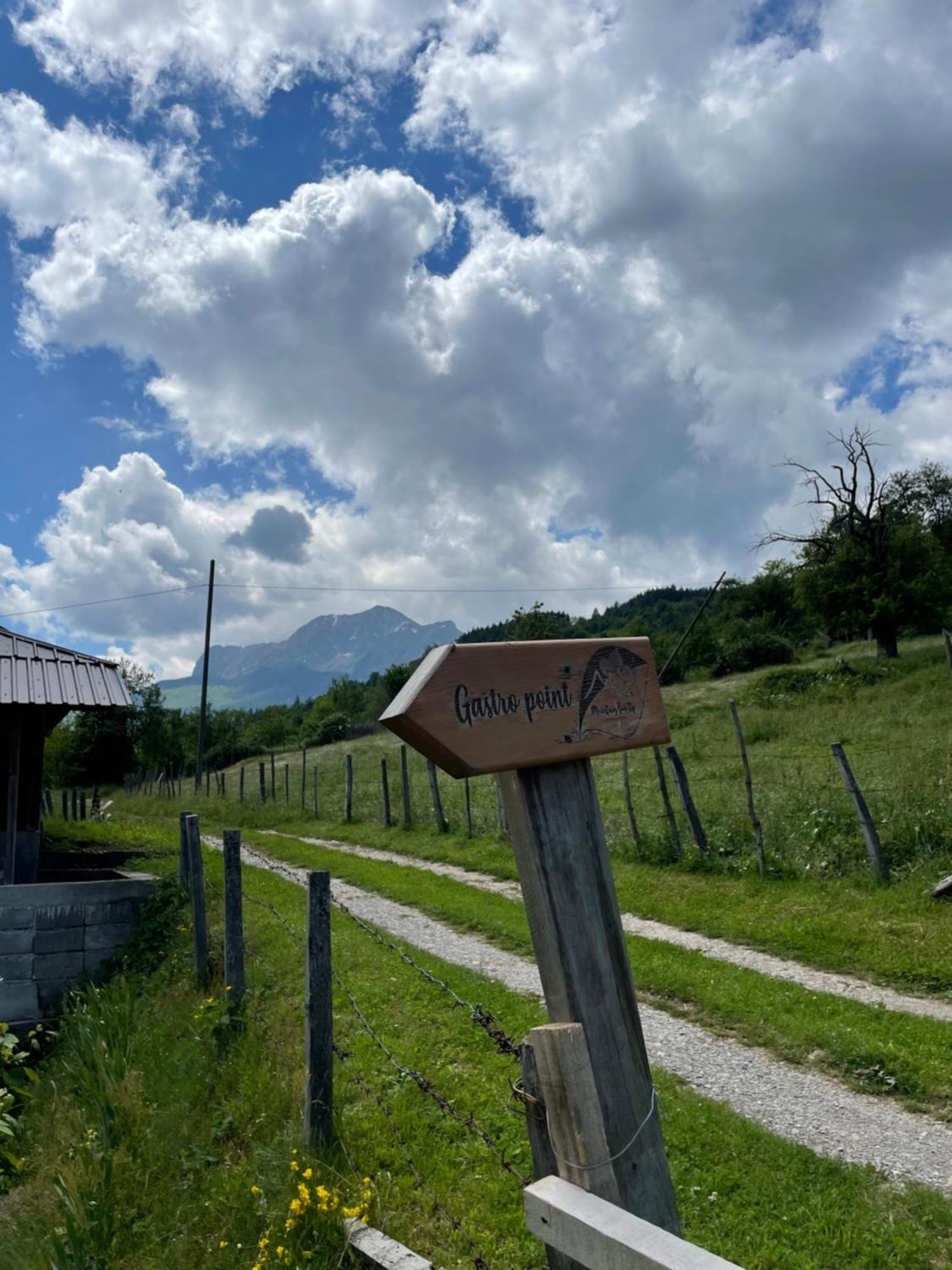 Household Babovic - Old House Miljan'S Valley Andrijevica エクステリア 写真