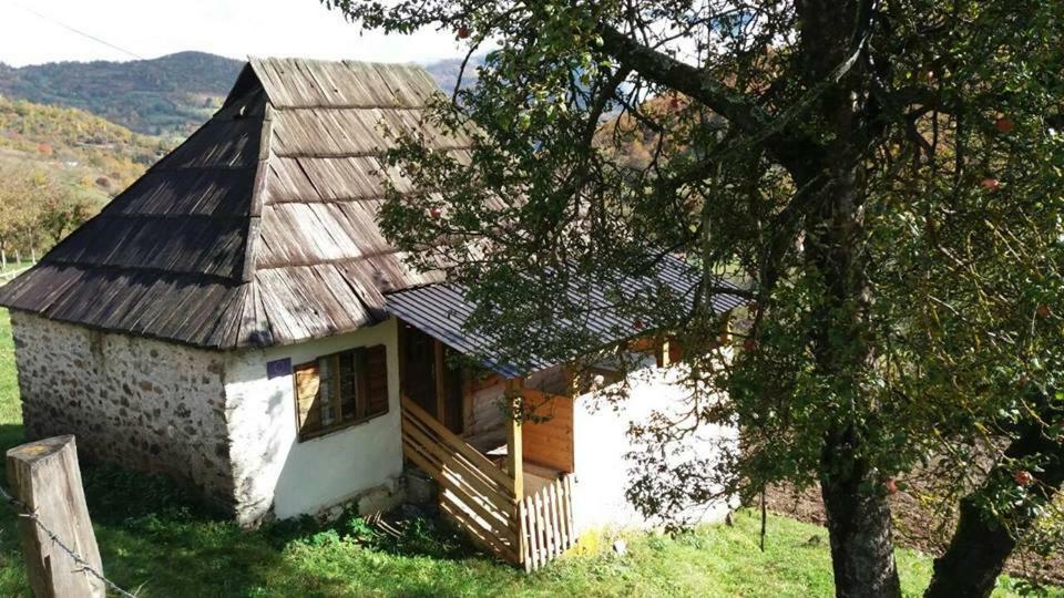 Household Babovic - Old House Miljan'S Valley Andrijevica エクステリア 写真